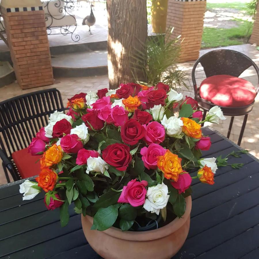 Willa Domaine Alma Marrakech Marrakesz Zewnętrze zdjęcie